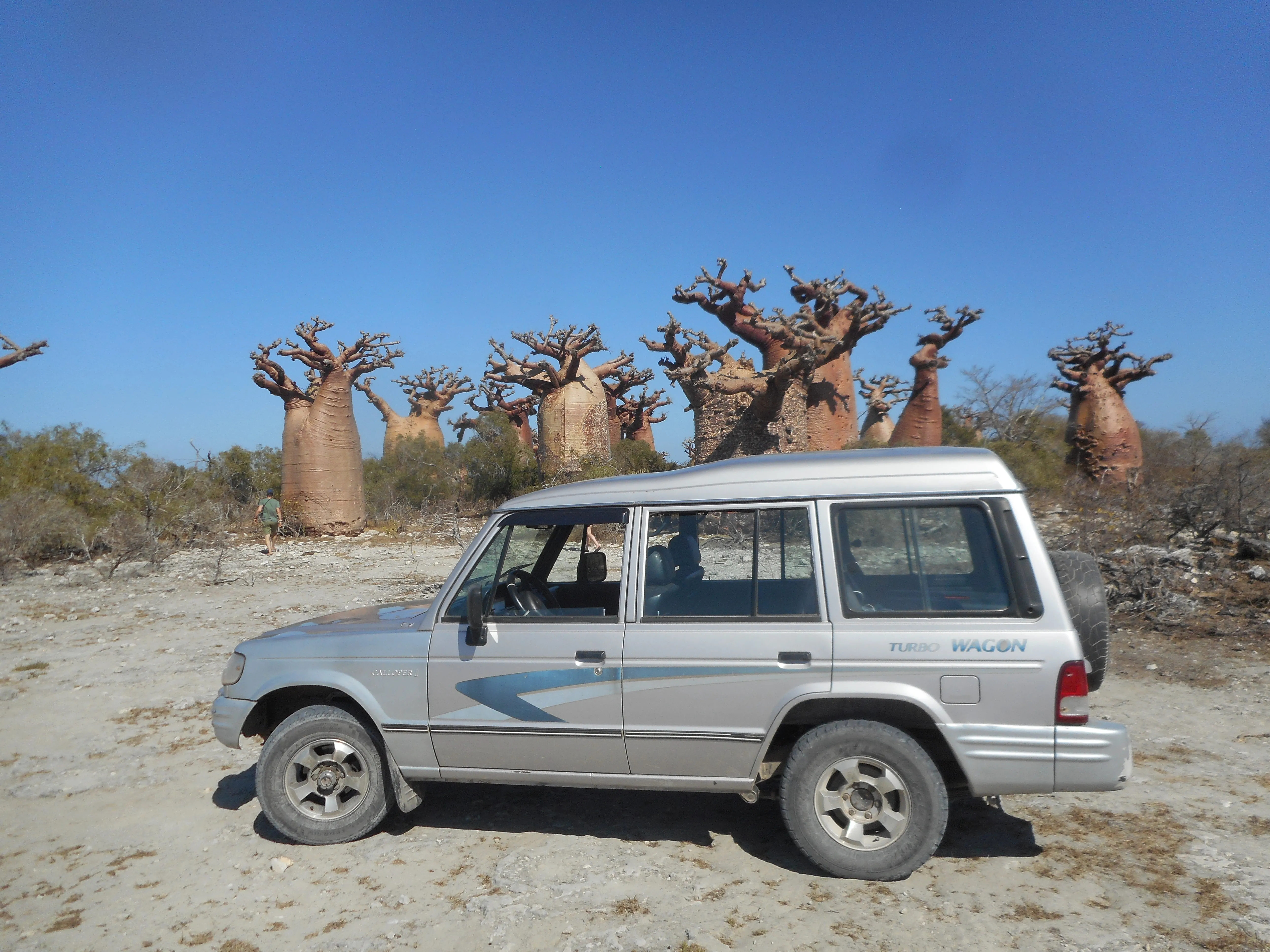 Véhicule 4x4 confortable