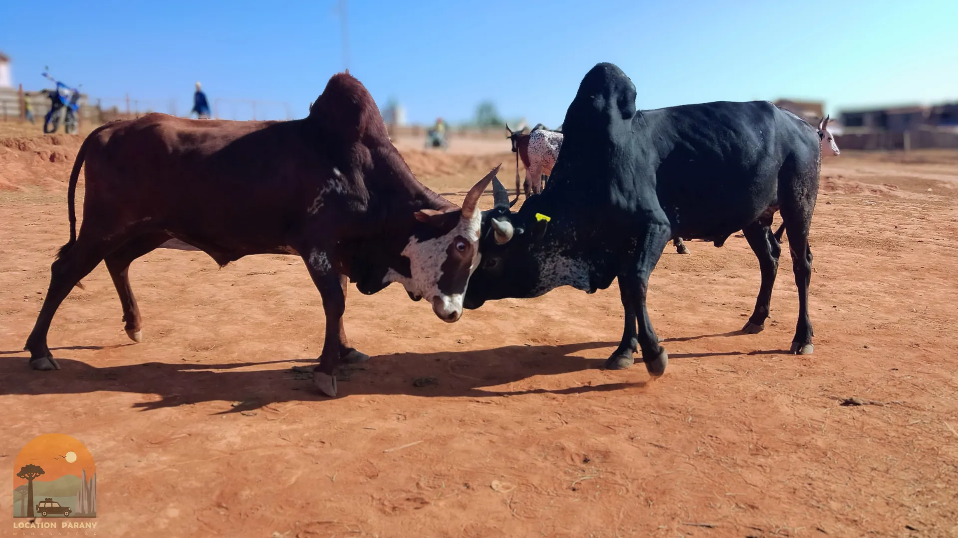 Votre rêve d’évasion commence ici