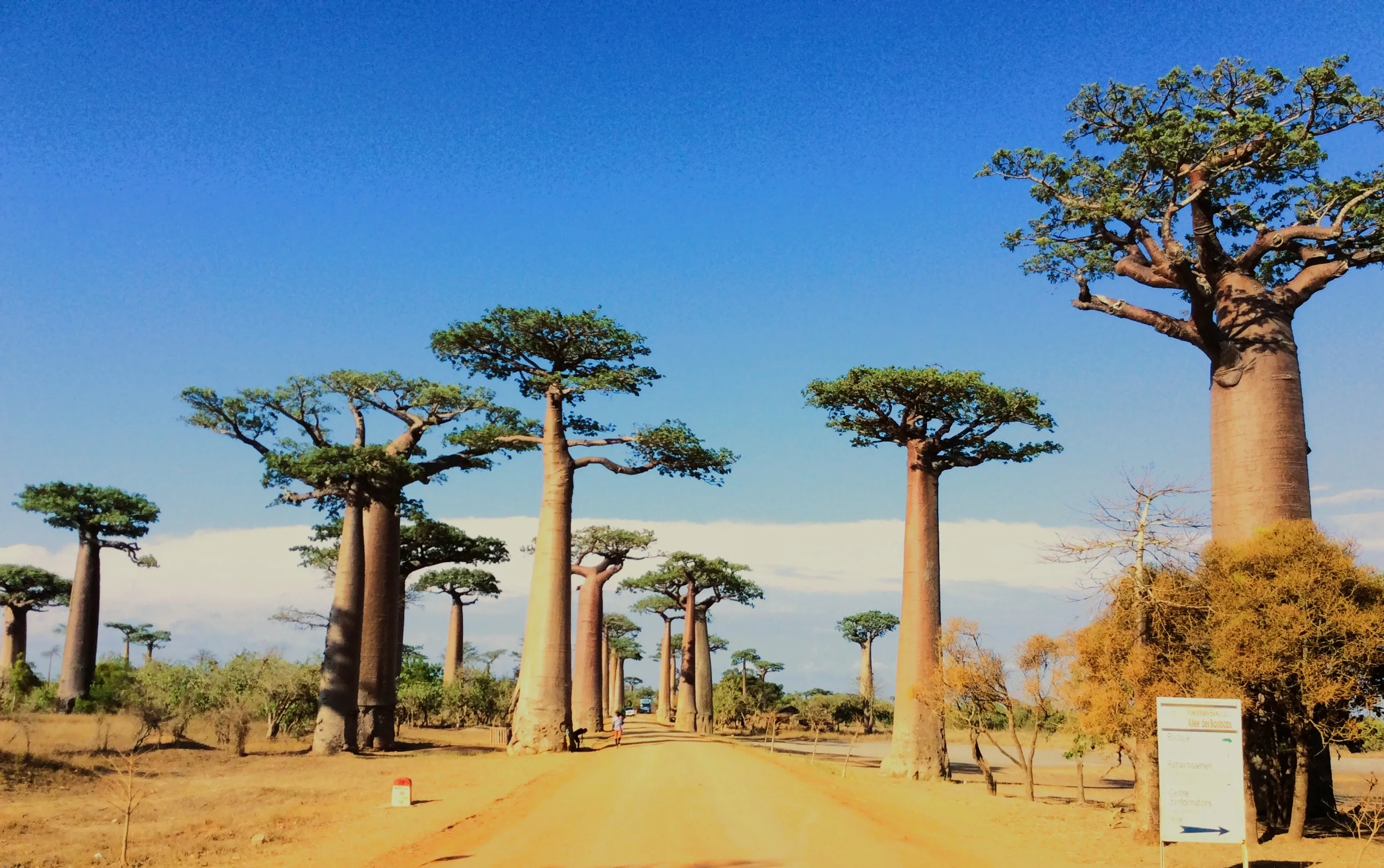 Explorez Madagascar en toute liberté